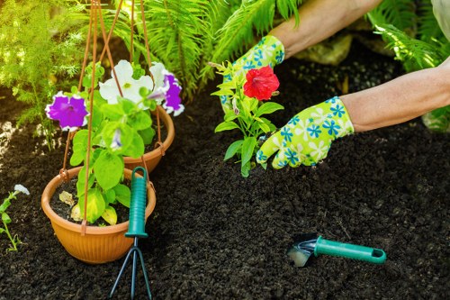 Gardener working on a front garden in Turnham Green