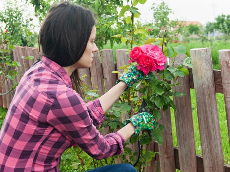 Garden clearance crew working in a local garden