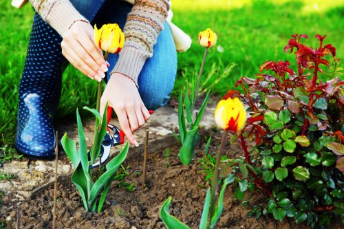 Local gardeners completing a landscaping project in Turnham Green