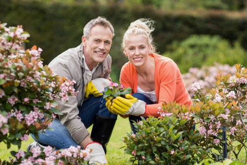 Balanced garden design with focal points